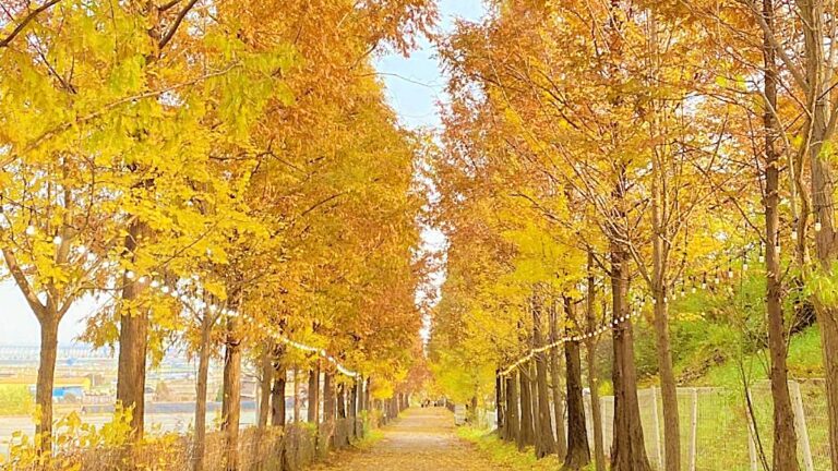 아산