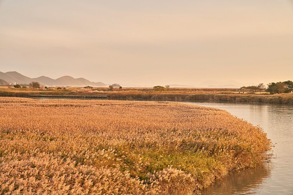 순천만국가정원