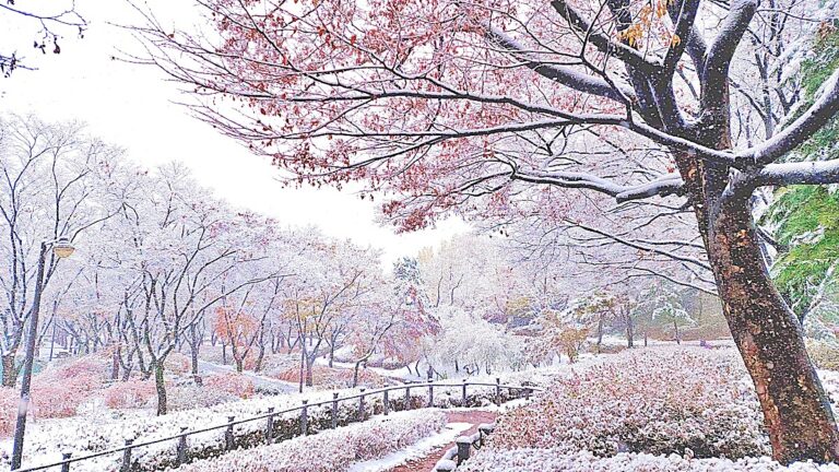 보라매공원