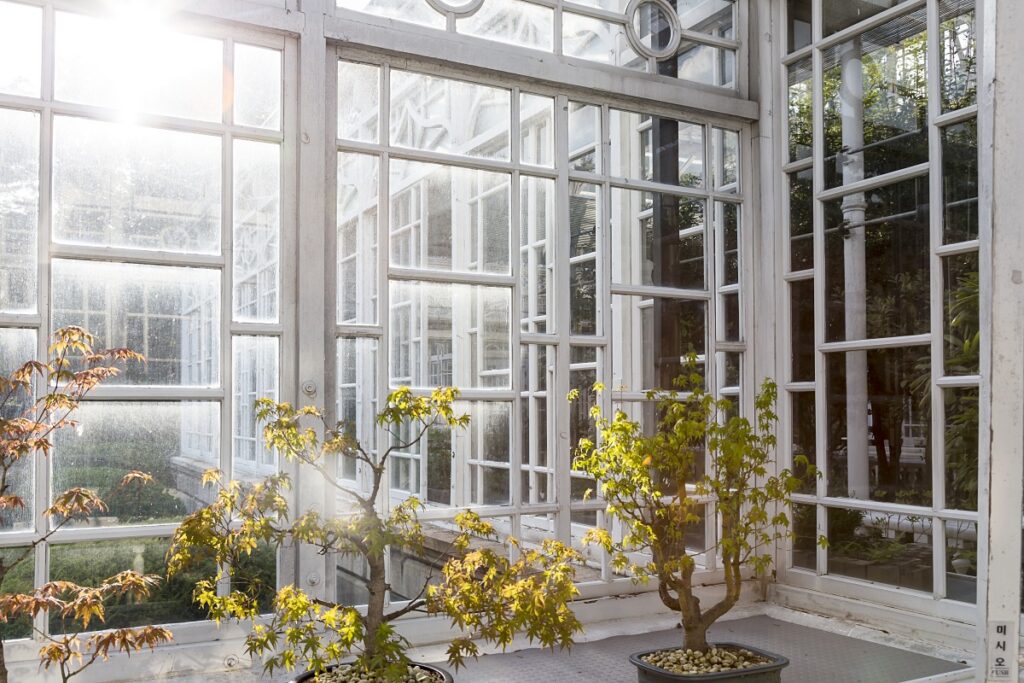 "밖은 영하인데 안은 봄이다"… '창경궁 대온실' 겨울철 서울 실내 여행지 추천 3 창경궁 대온실