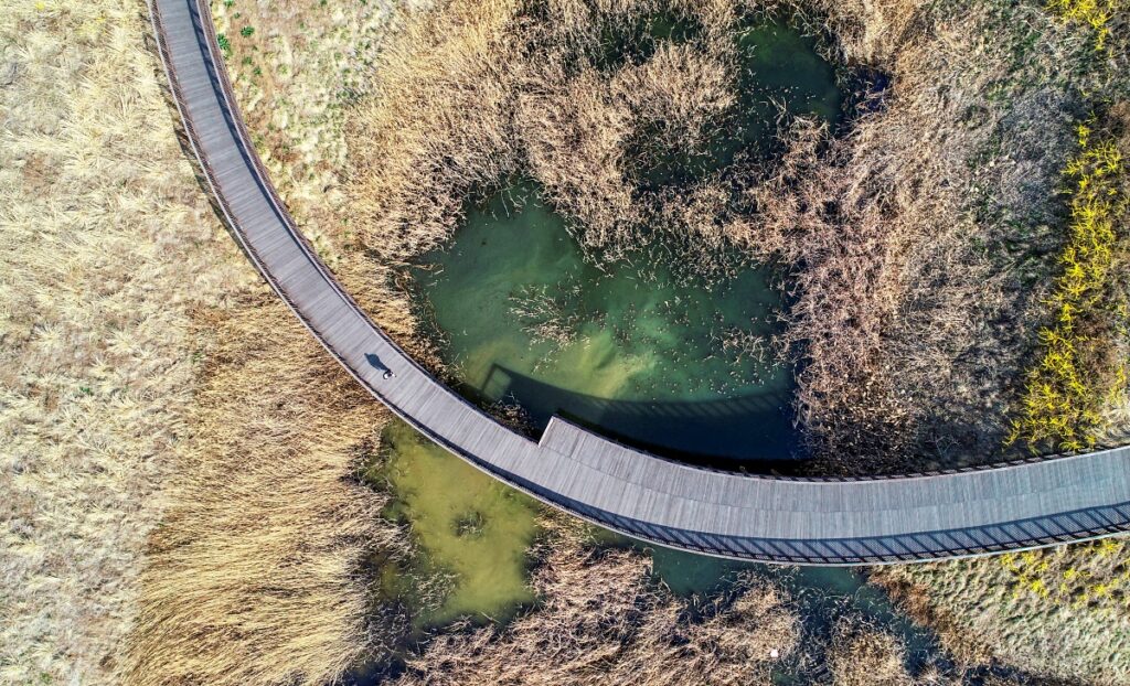"주말에 멀리 갈 필요 있을까"... '청라호수공원' 인천 도심 힐링 명소 추천 2 청라호수공원