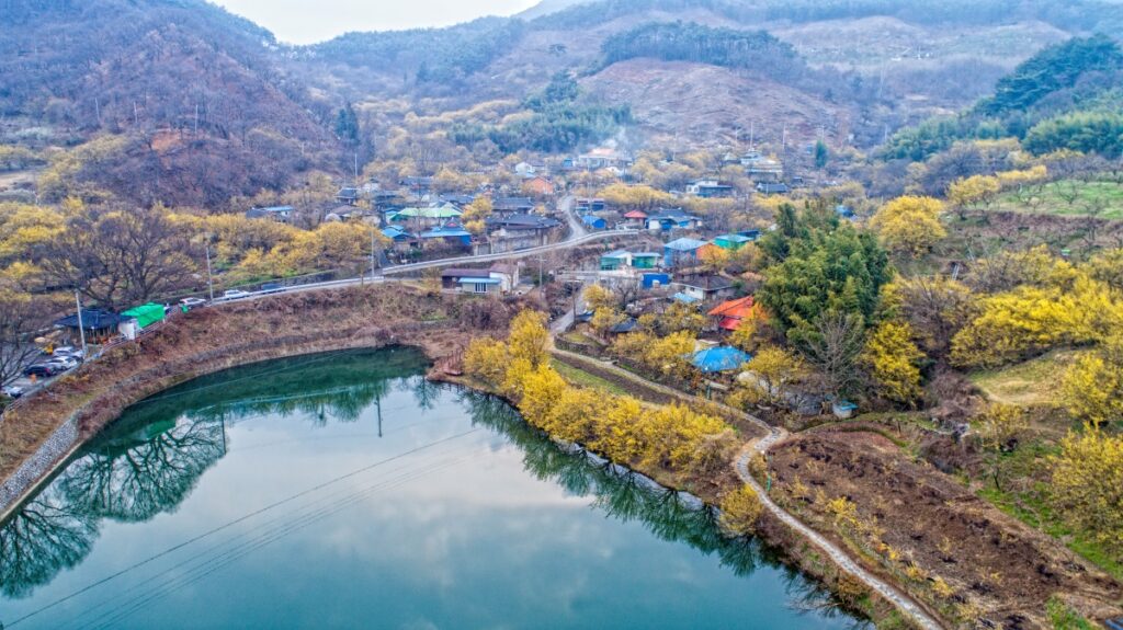 "안 가면 1년 후회"… 3월 14일, 지리산 자락 덮는 '황금빛 장관' 개막 3 지리산